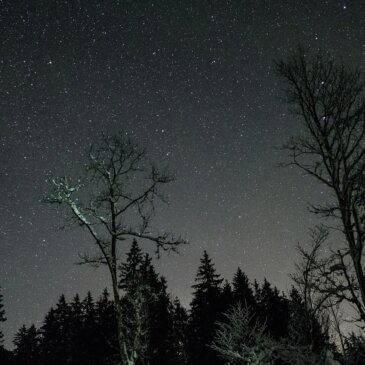 天空の喜び：2月の夜空は星のショーケース